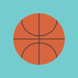 开云·体育官网APP下载-中国篮球联赛市场竞争环境分析与预测，篮球市场现状