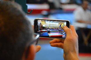 开云·体育官网-中国篮球联赛市场细分与营销研究，篮球联赛介绍