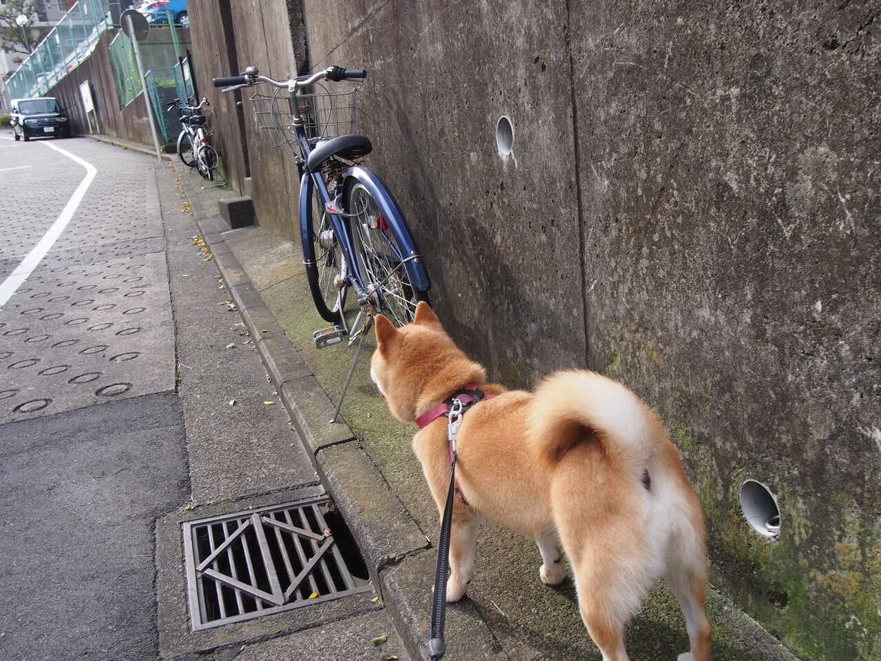 国足传球中断点与失控局面对应关系,足球比赛中断串子怎么算