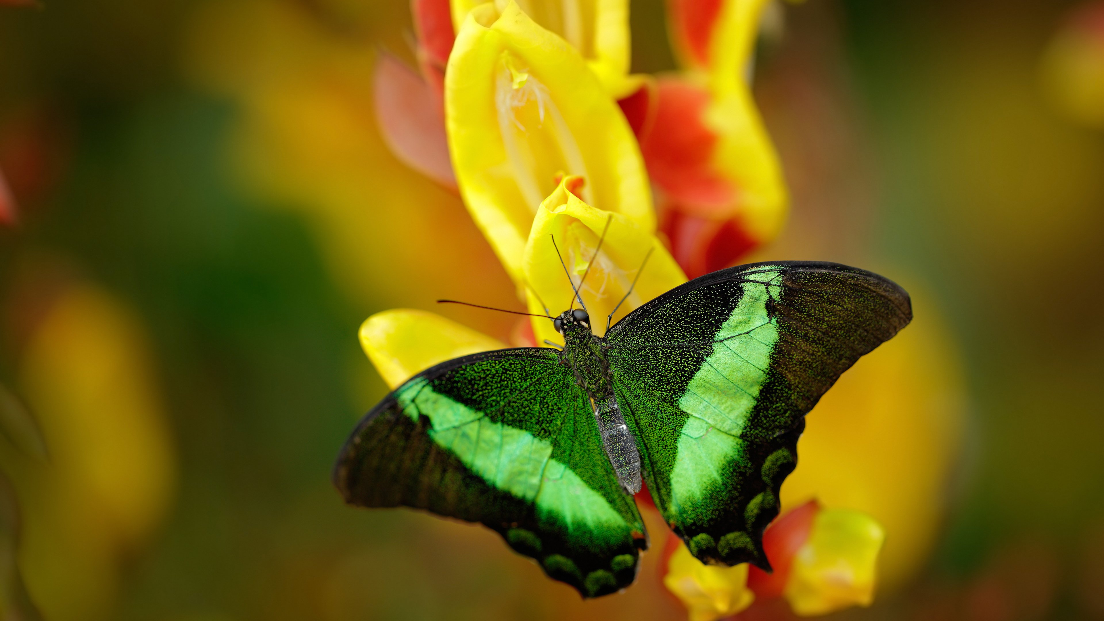 国足低位防守时失误分布分析，足球 低位防守