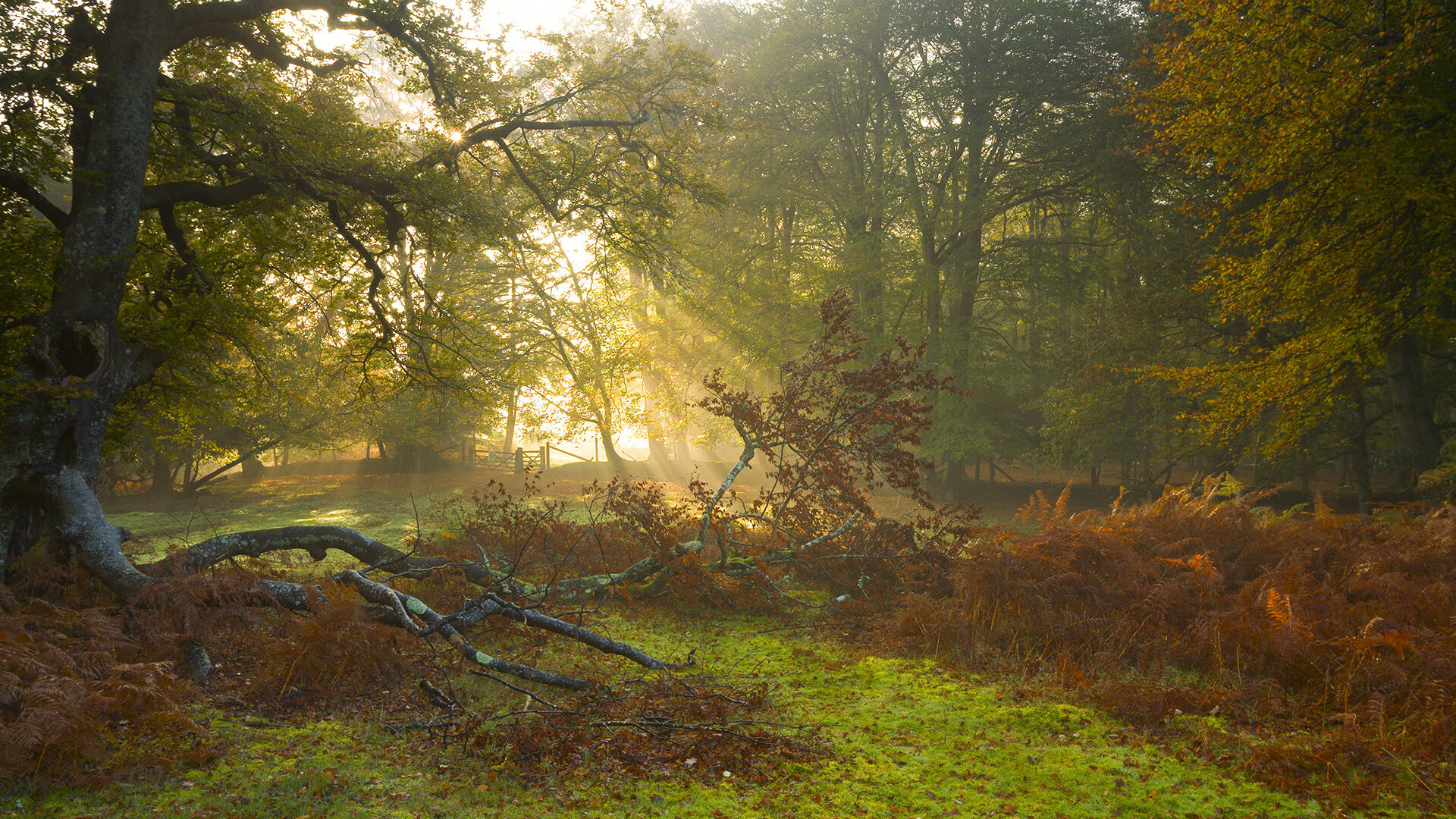 国足比赛比赛状态分析，国足的比赛情况