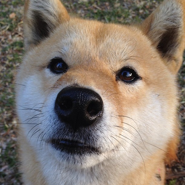 基层体育组织治理能力提升路径探讨，如何组织基层体育比赛