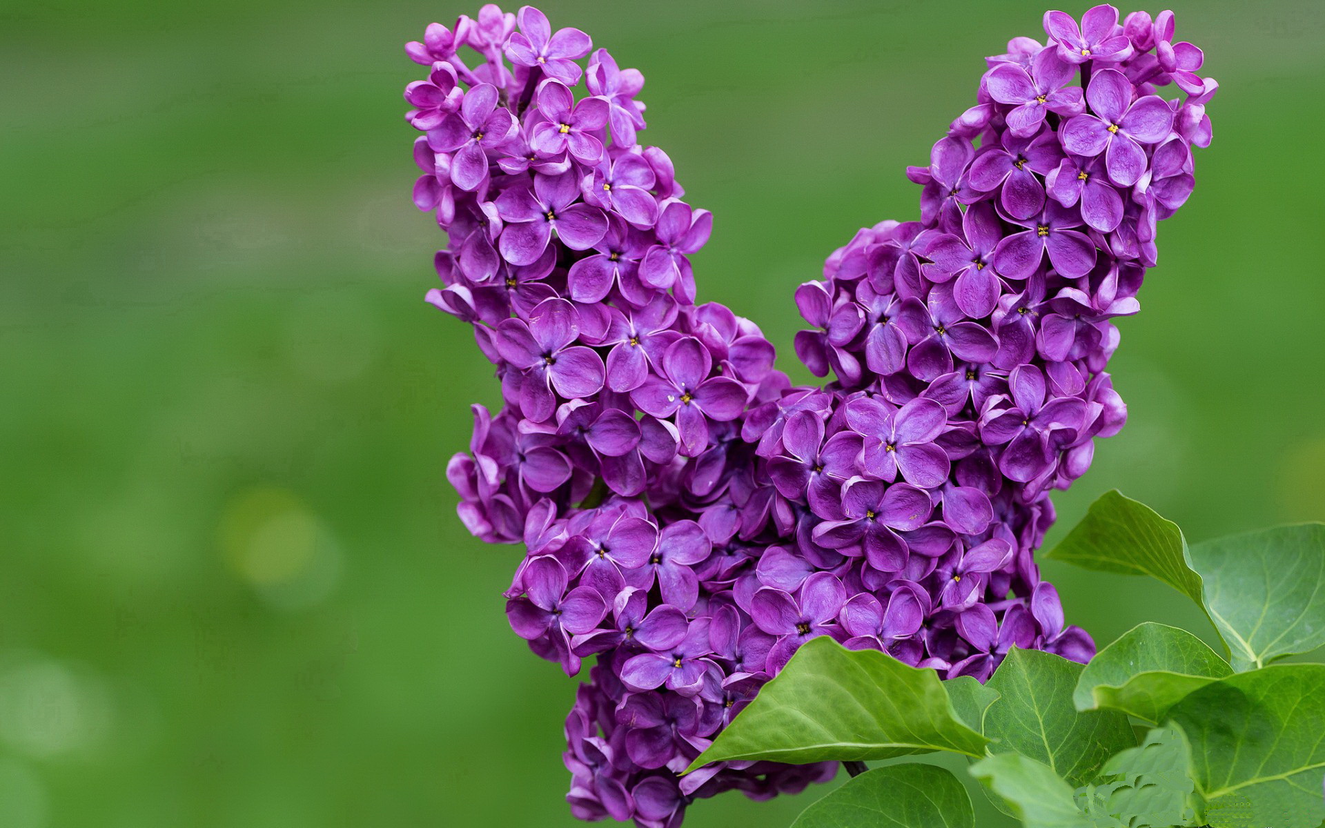 塔什干时间：乌兹别克斯坦的世俱杯精彩瞬间，乌兹别克斯坦塔什干是哪个国家