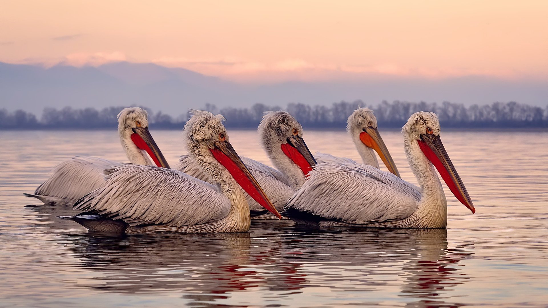 德甲球队利用神经反馈提升球员专注力和反应速度
