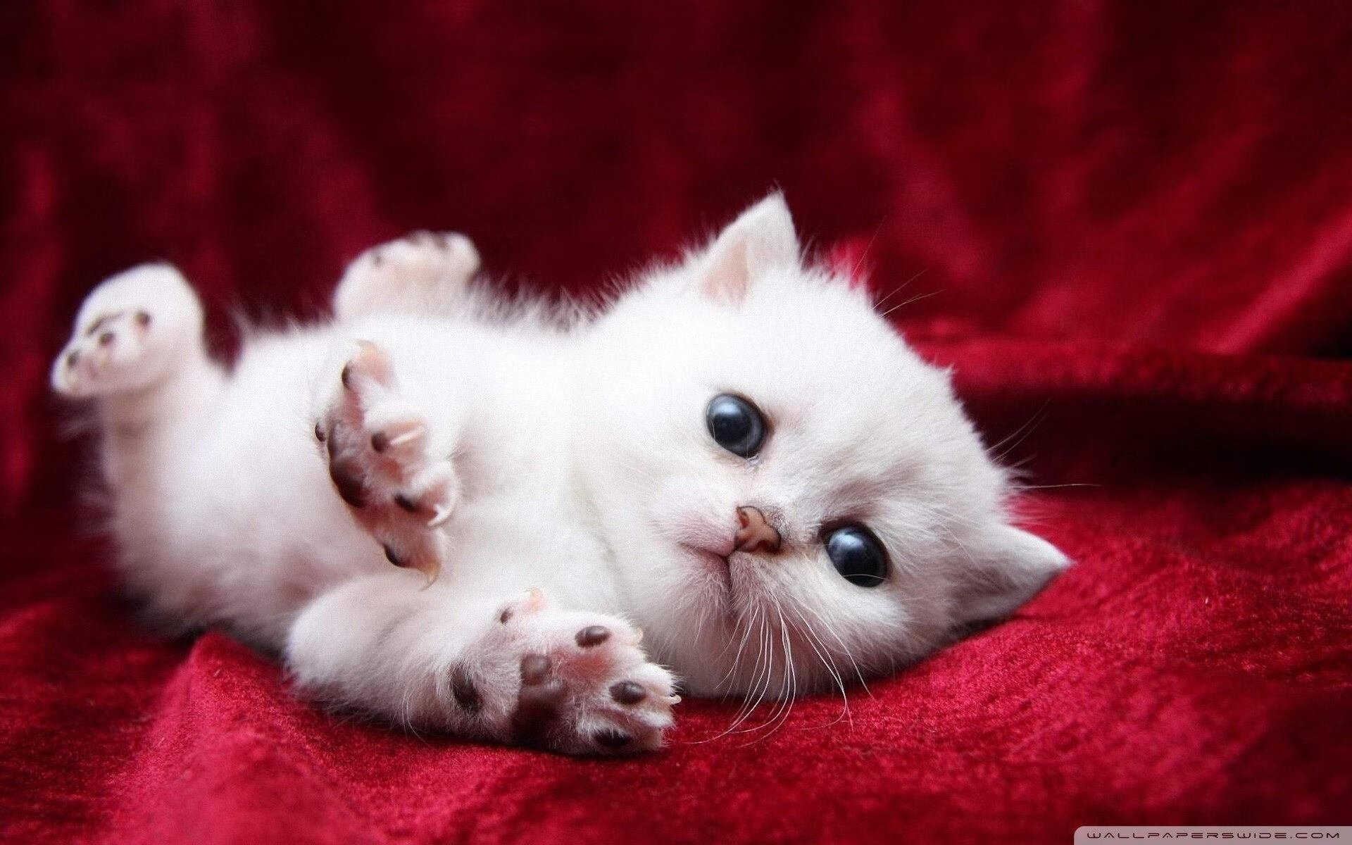 意甲球队运用心率变异性预测过度训练风险，心率变异性计算公式