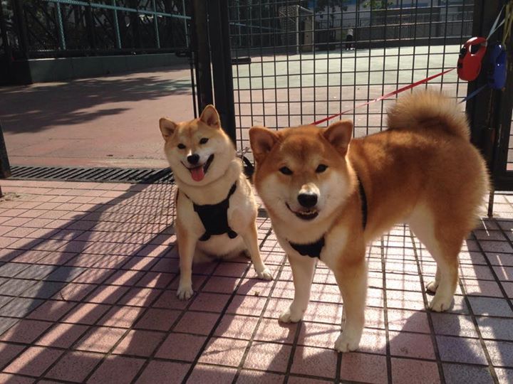 新闻中心举办客户答谢会，客户答谢活动新闻稿