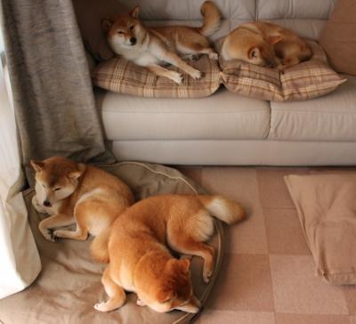 未来战术:数据驱动下的智能战术模型,未来战术_数据驱动下的智能战术模型是什么