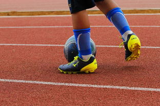 开云官方-未来潜力：年轻球员的崛起路径，年轻球员是中国足球未来发展的基础