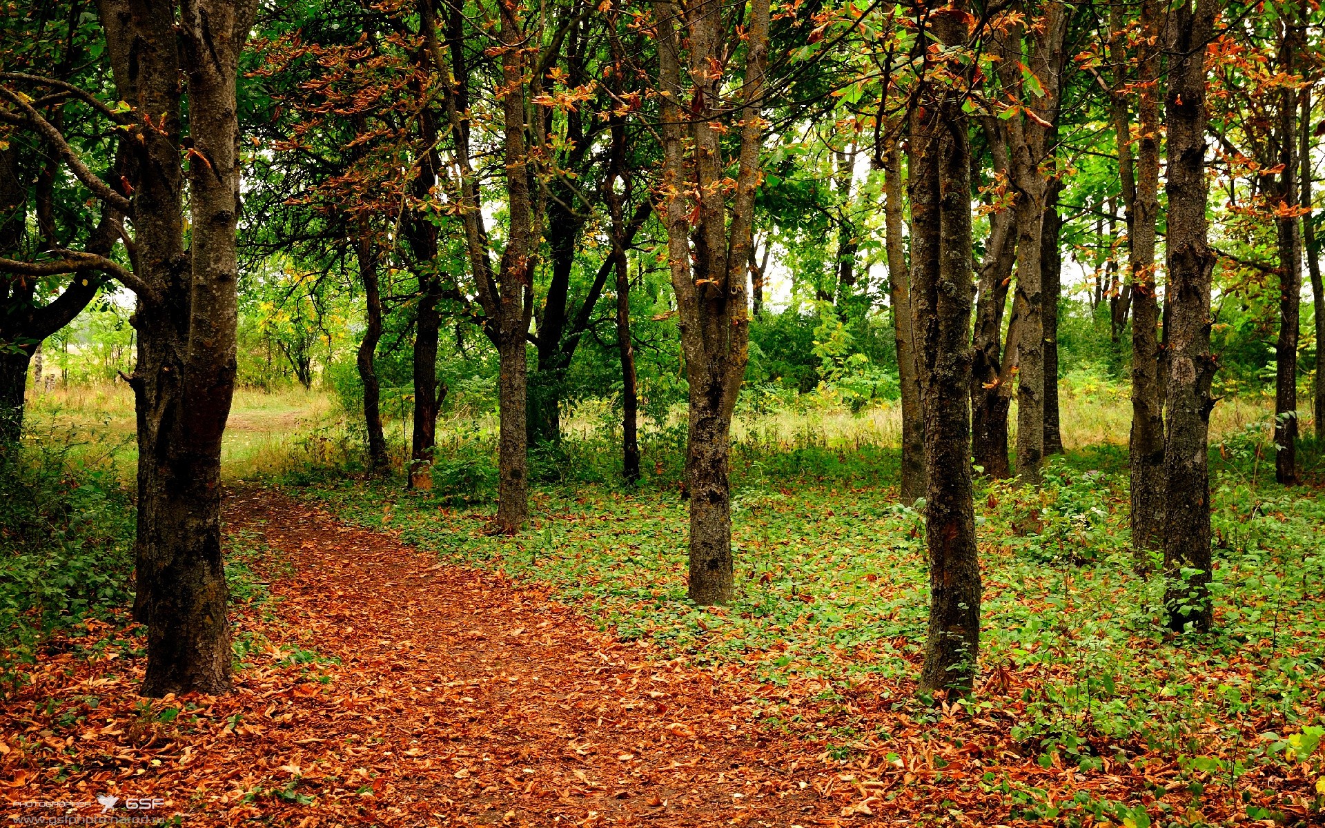 未来潜力:年轻球员的崛起路径,年轻球员是中国足球未来发展的基础