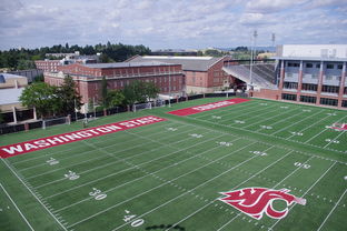 Kaiyun官方登录入口-篮球专项体能训练监测技术及应用实践，篮球项目的体能训练方法