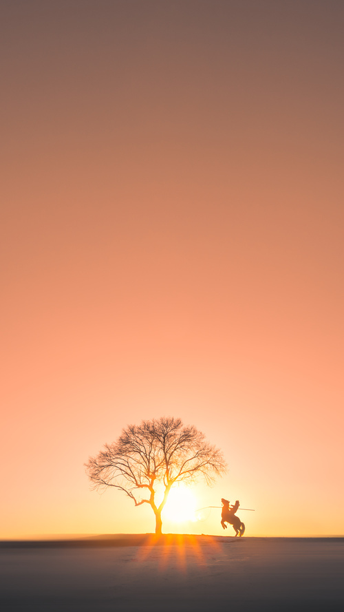 篮球专项体能训练监测技术及应用,篮球专项体能训练监测技术及应用论文