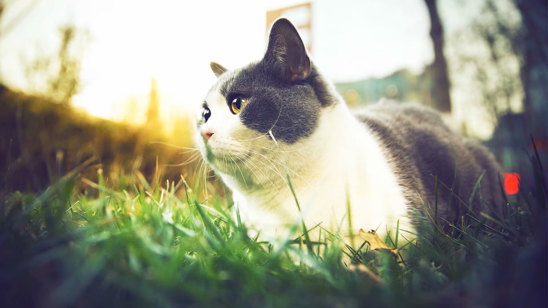 篮球专项体能训练负荷科学规划，篮球运动训练负荷分析