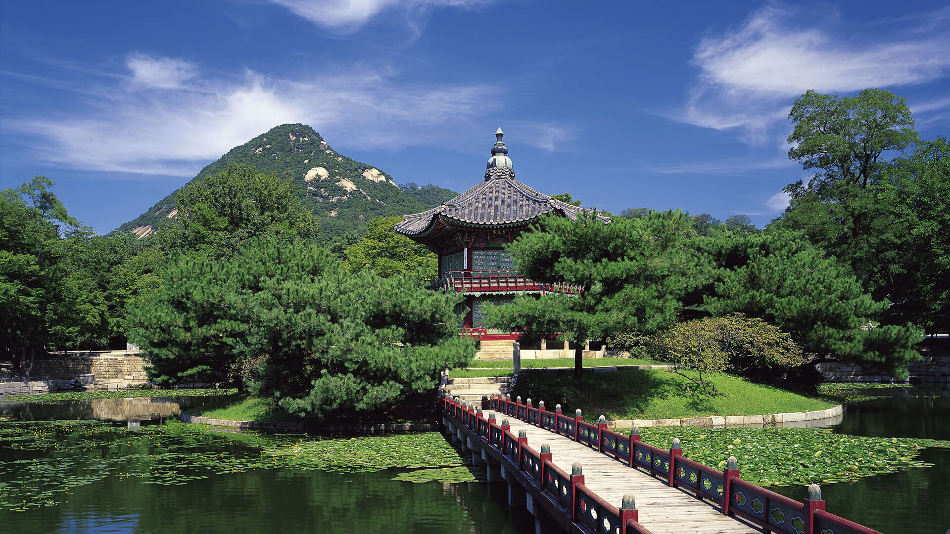 篮球教练员领导力与团队管理研究，篮球教练的素养