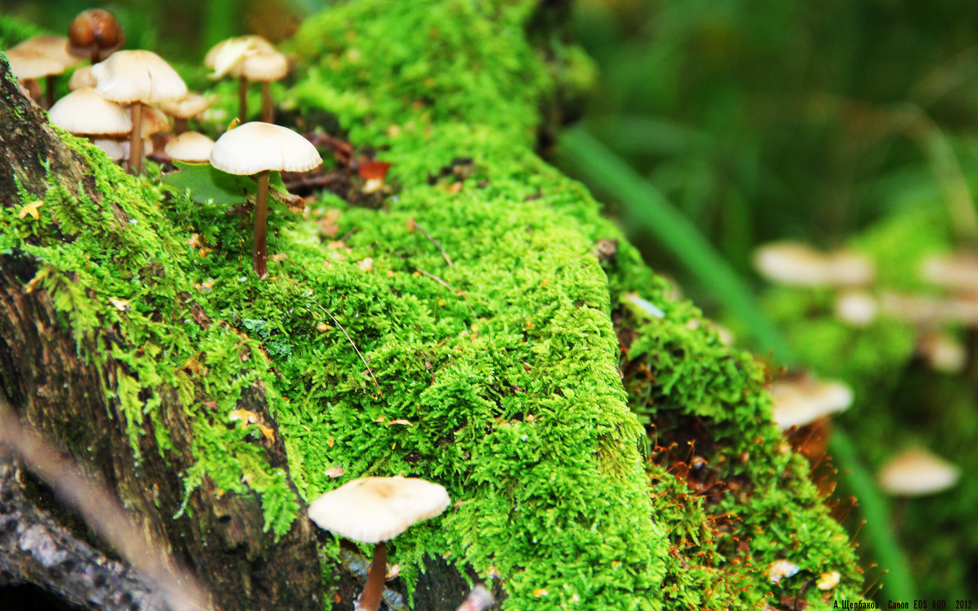 篮球比赛中战术变化对比赛结果影响的实证分析，篮球战术分析怎么写