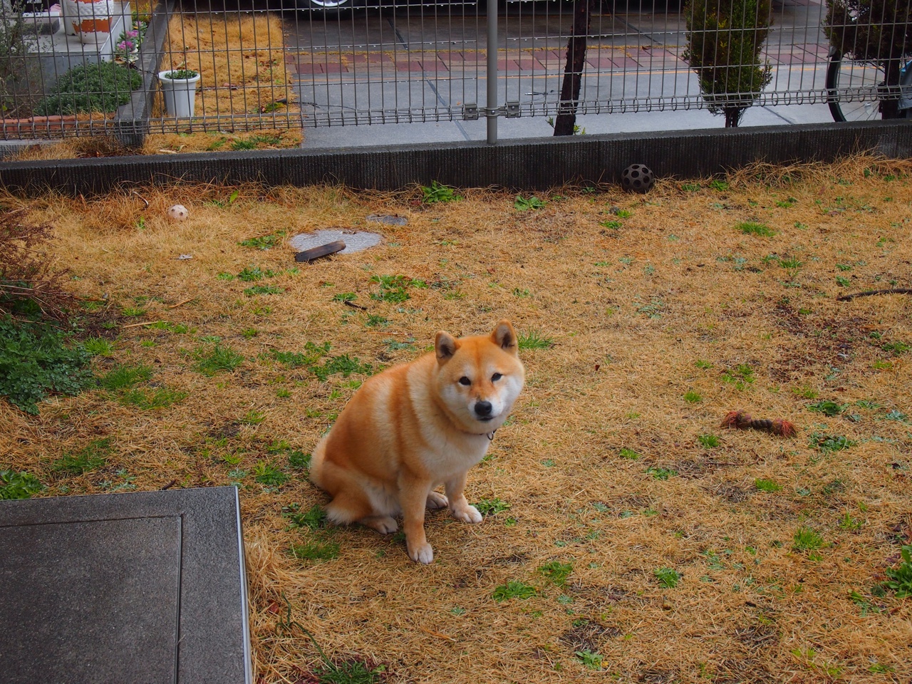 篮球运动员专项技能动作捕捉技术创新及应用研究,篮球技能展示动作