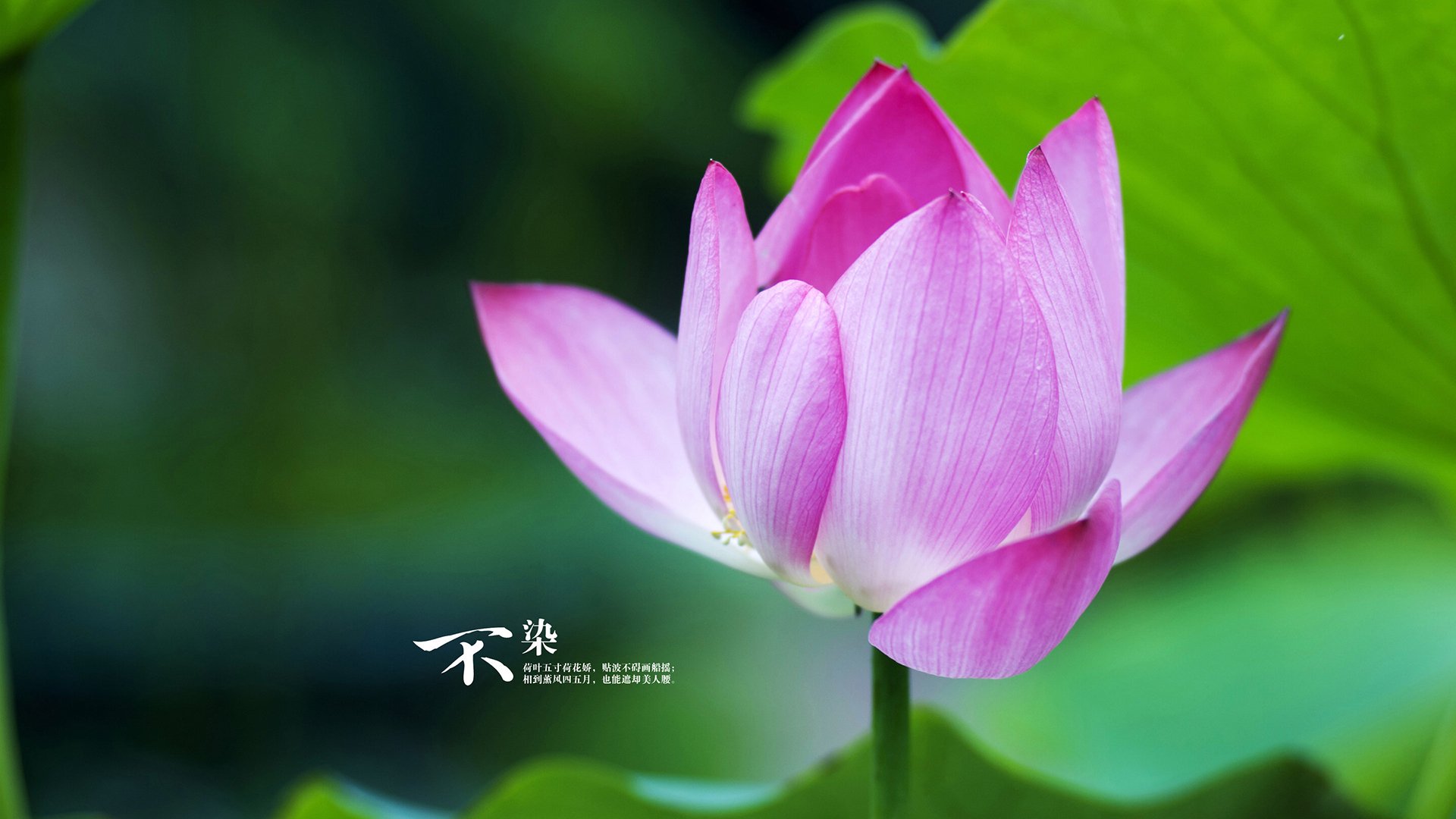 篮球运动员技能动作规范化训练与评估方法，篮球动作技能理论知识