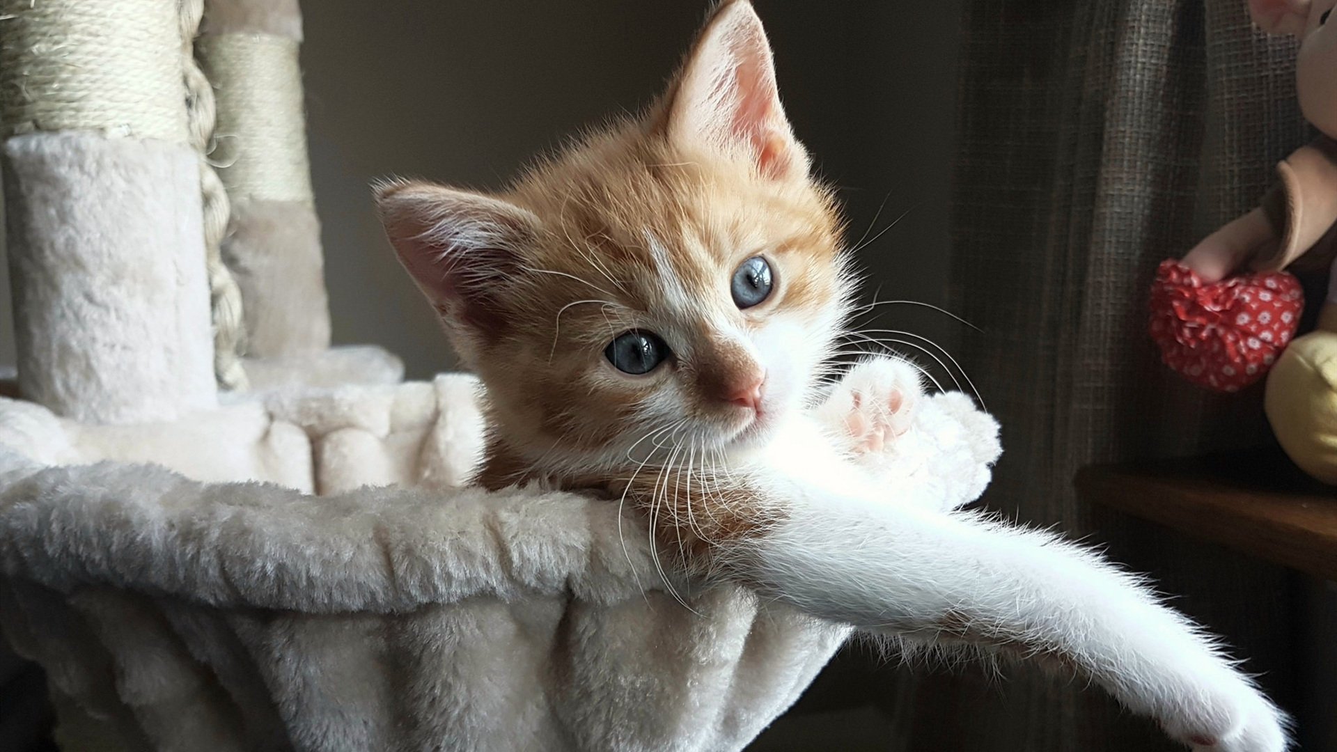 英超球队基于跑动强度分析制定恢复训练计划，英超球员场均跑动