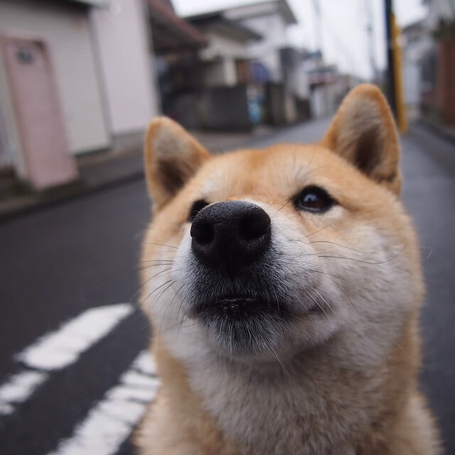 西甲青训体系融入心理压力管理提升技术稳定性，西甲青训最好的俱乐部