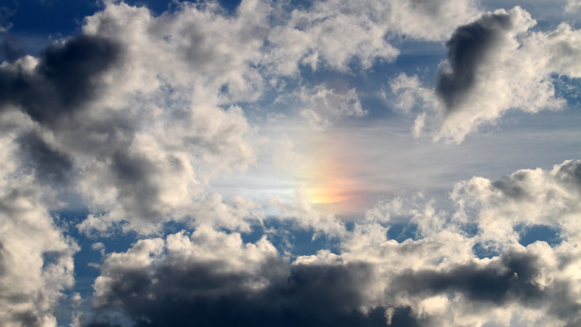 运动员康复管理新技术，运动员康复训练计划考虑因素