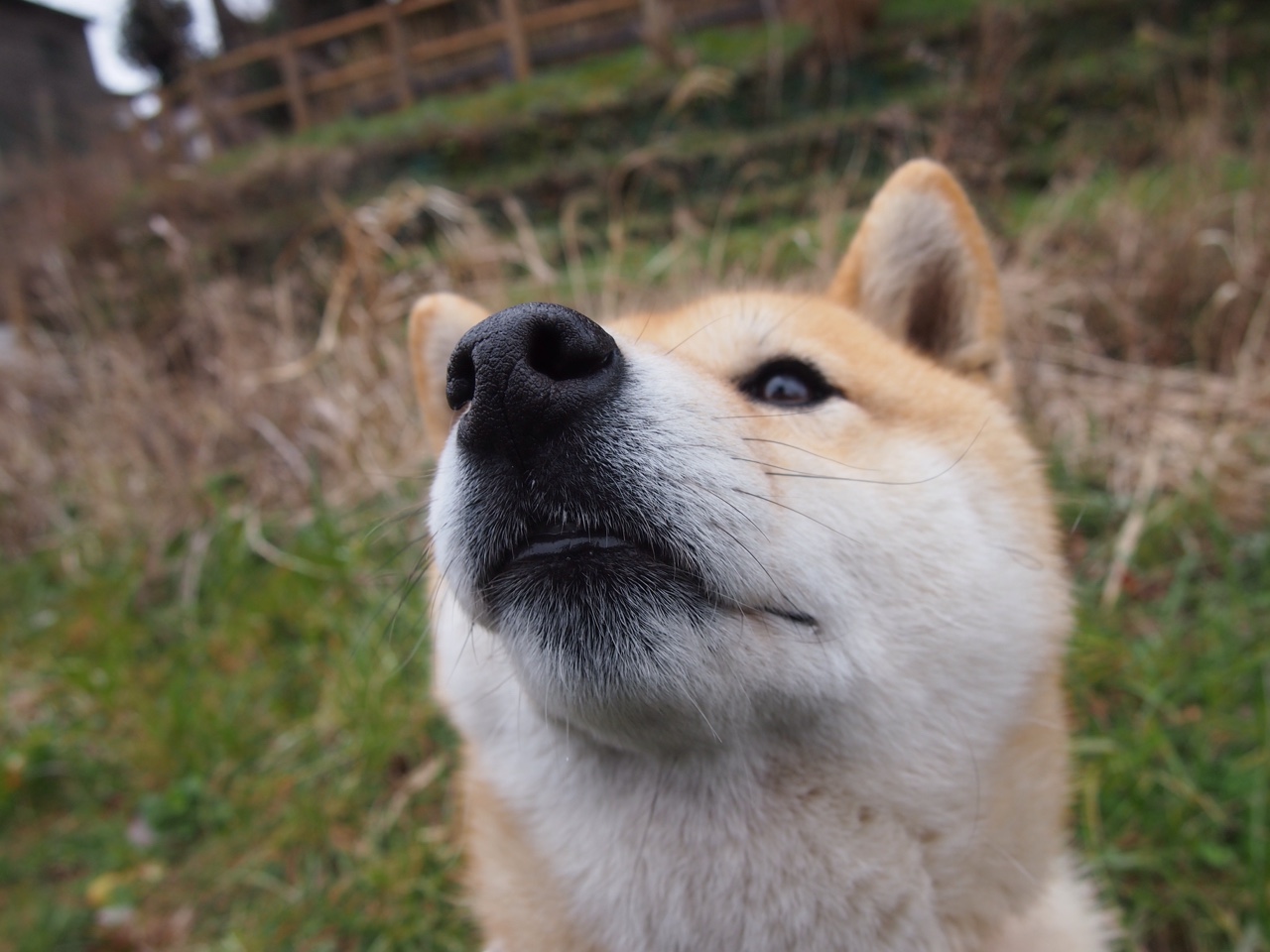 Kaiyun(中国)开云-运动员康复管理新方案，运动员的康复训练