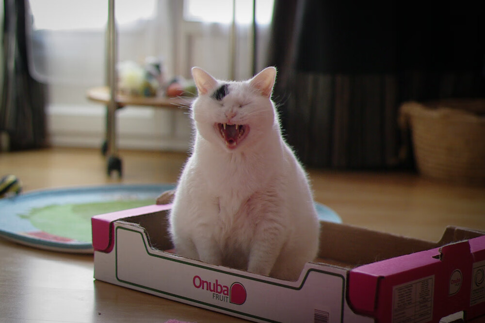 运动员心理健康教育推广计划，论加强运动员心理健康教育的重要性