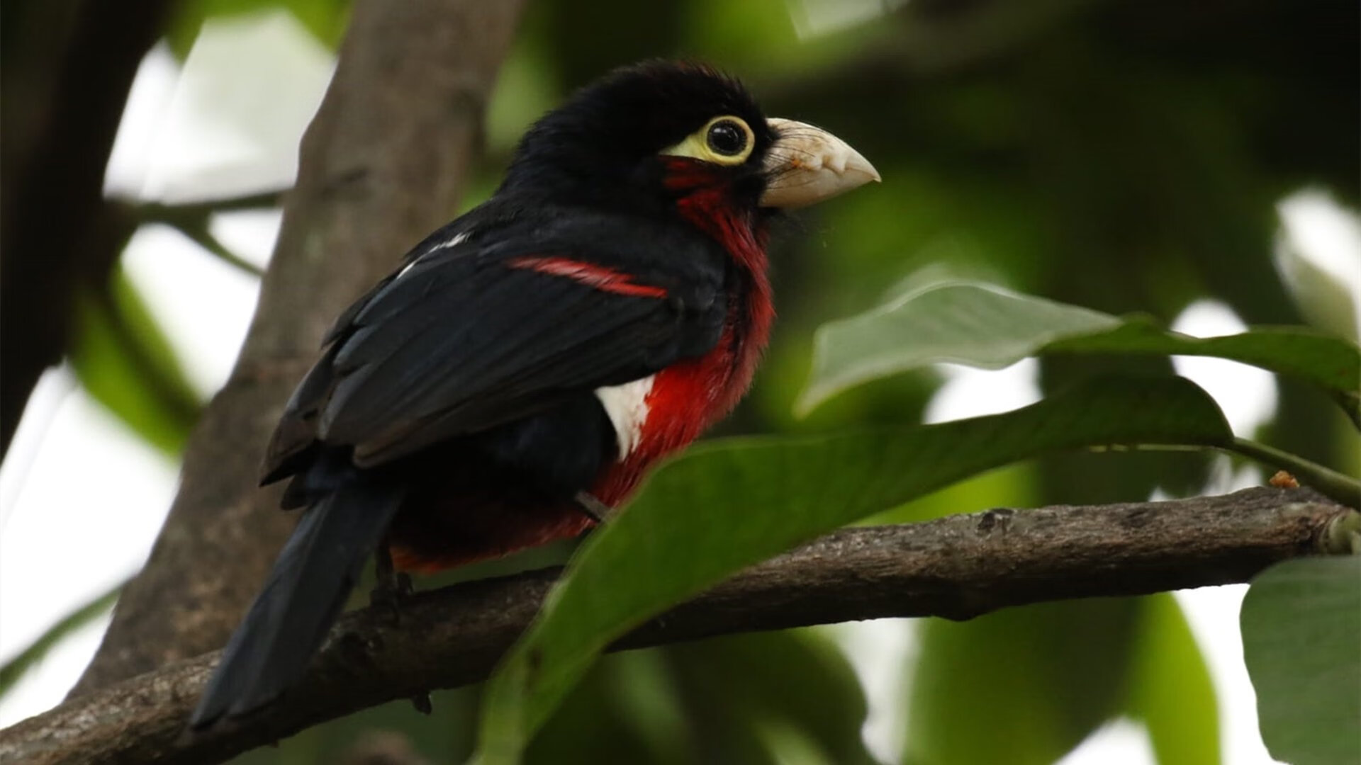 逆境中的坚持:赛季中逆转战局的惊险瞬间,逆境之中