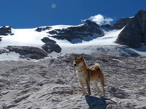 青少年体育锻炼动机研究与促进实践，青少年体育锻炼活动方案