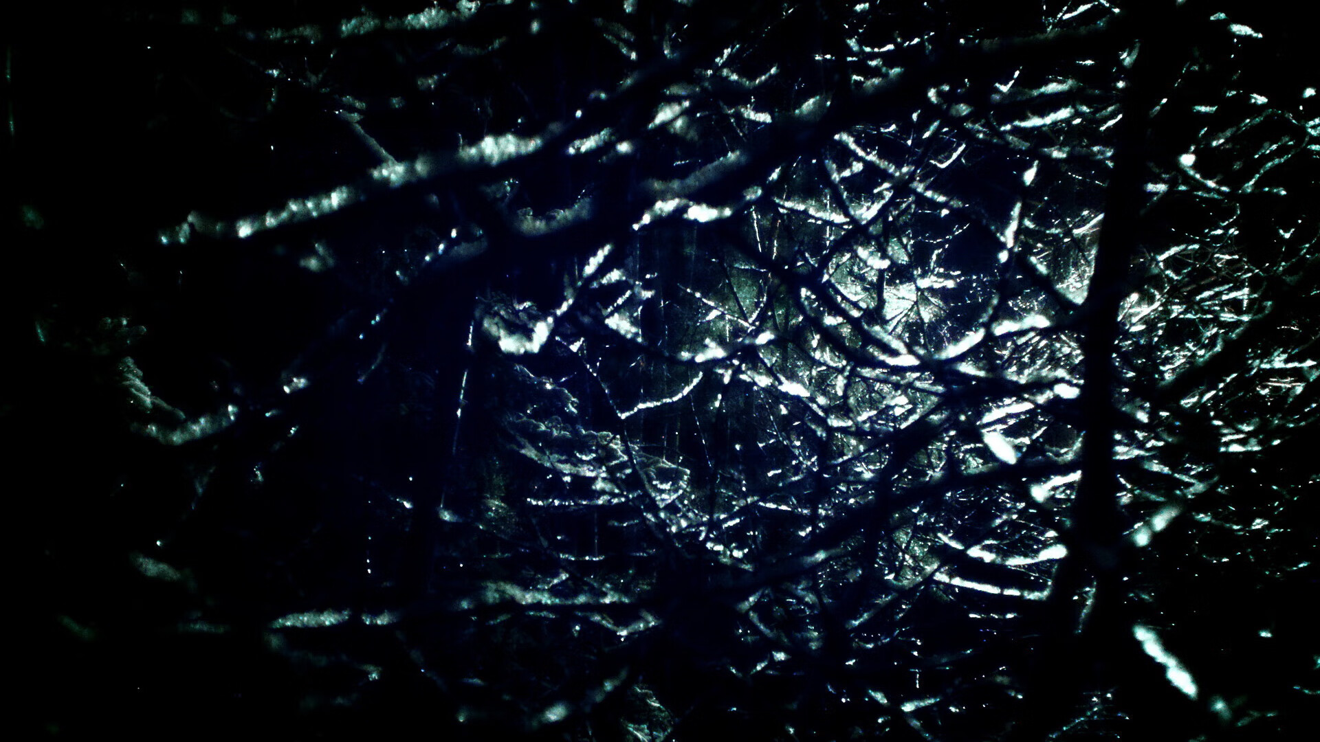 青少年体育锻炼动机研究，青少年体育锻炼活动方案