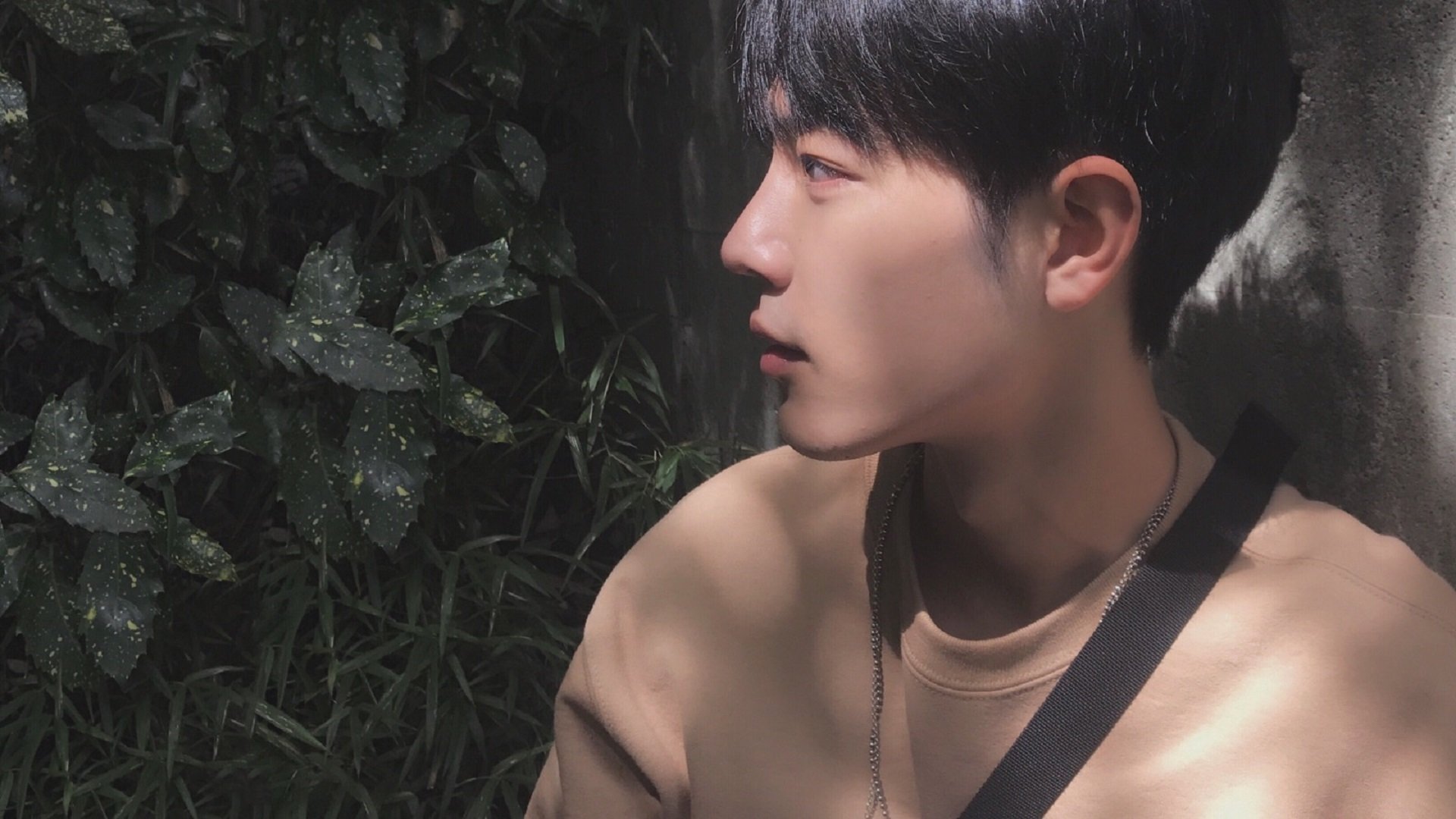 青少年体育锻炼行为促进措施研究，《青少年体育活动促进计划》