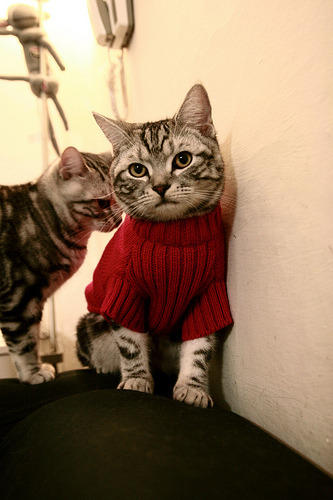 高校体育场馆运营效率提升策略，高校体育场馆如何运营和管理