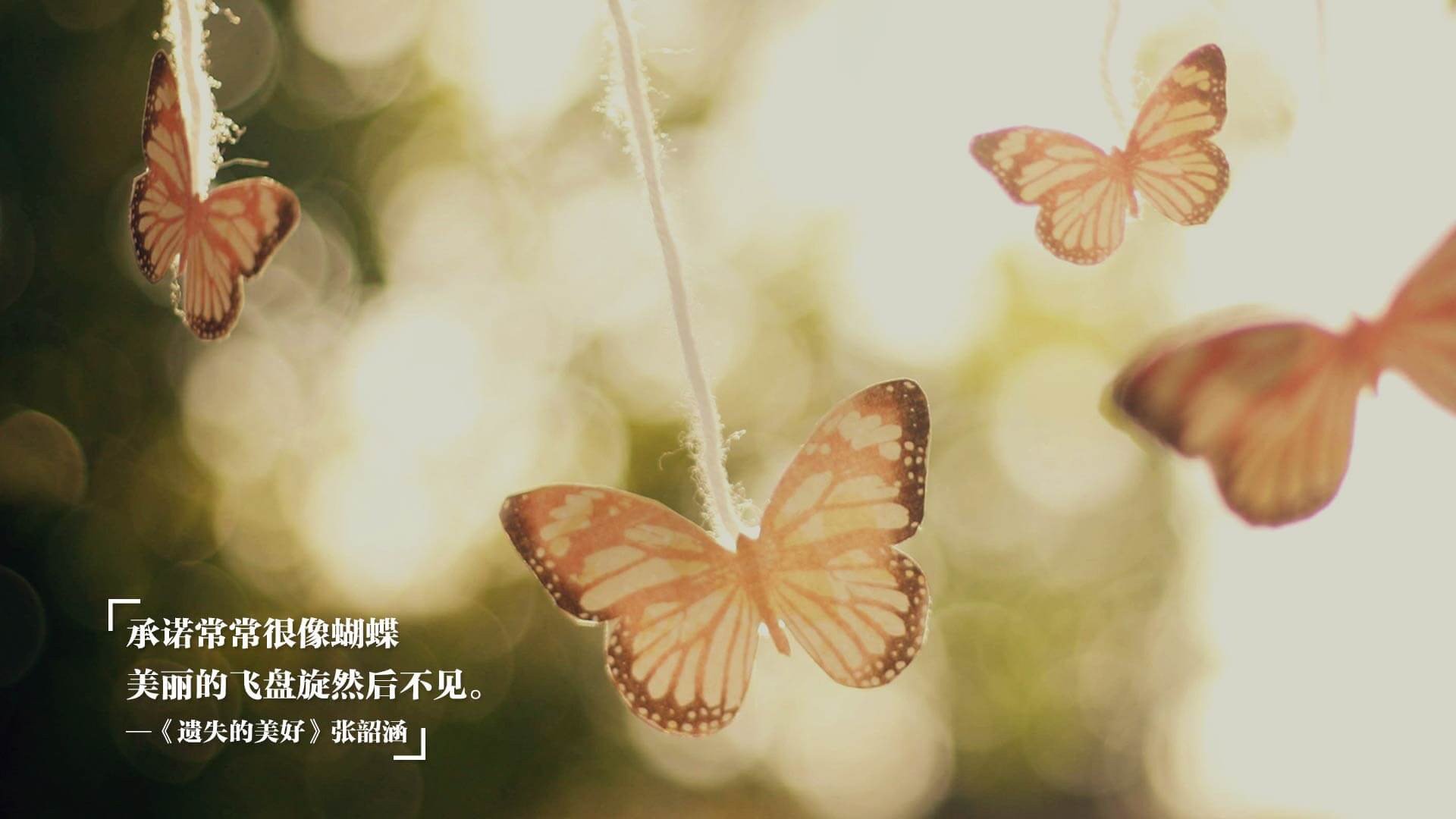 “羽毛球挑战：高新体育中心赛场极速对决成观众焦点”