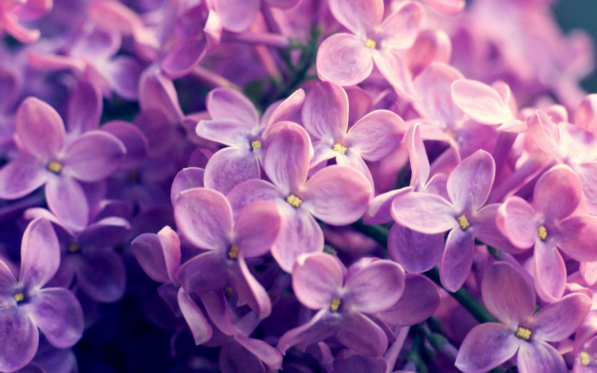 “高新体育中心：网球赛事上演世界级对决，精彩不断”