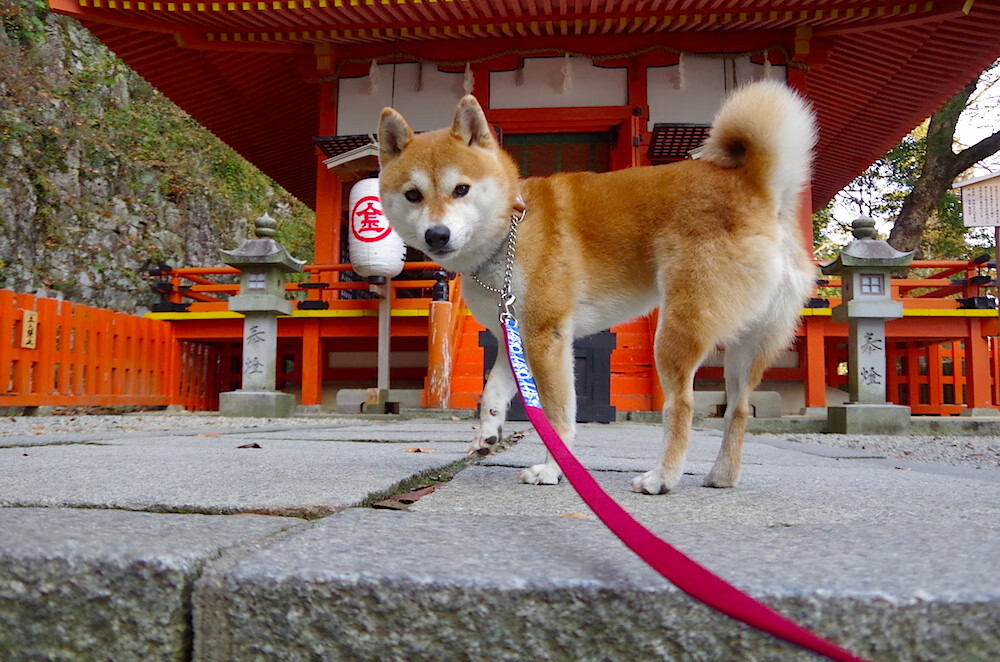 kaiyun登录入口-东亚杯中国青年队战平 球迷积极支持，东亚杯扩军