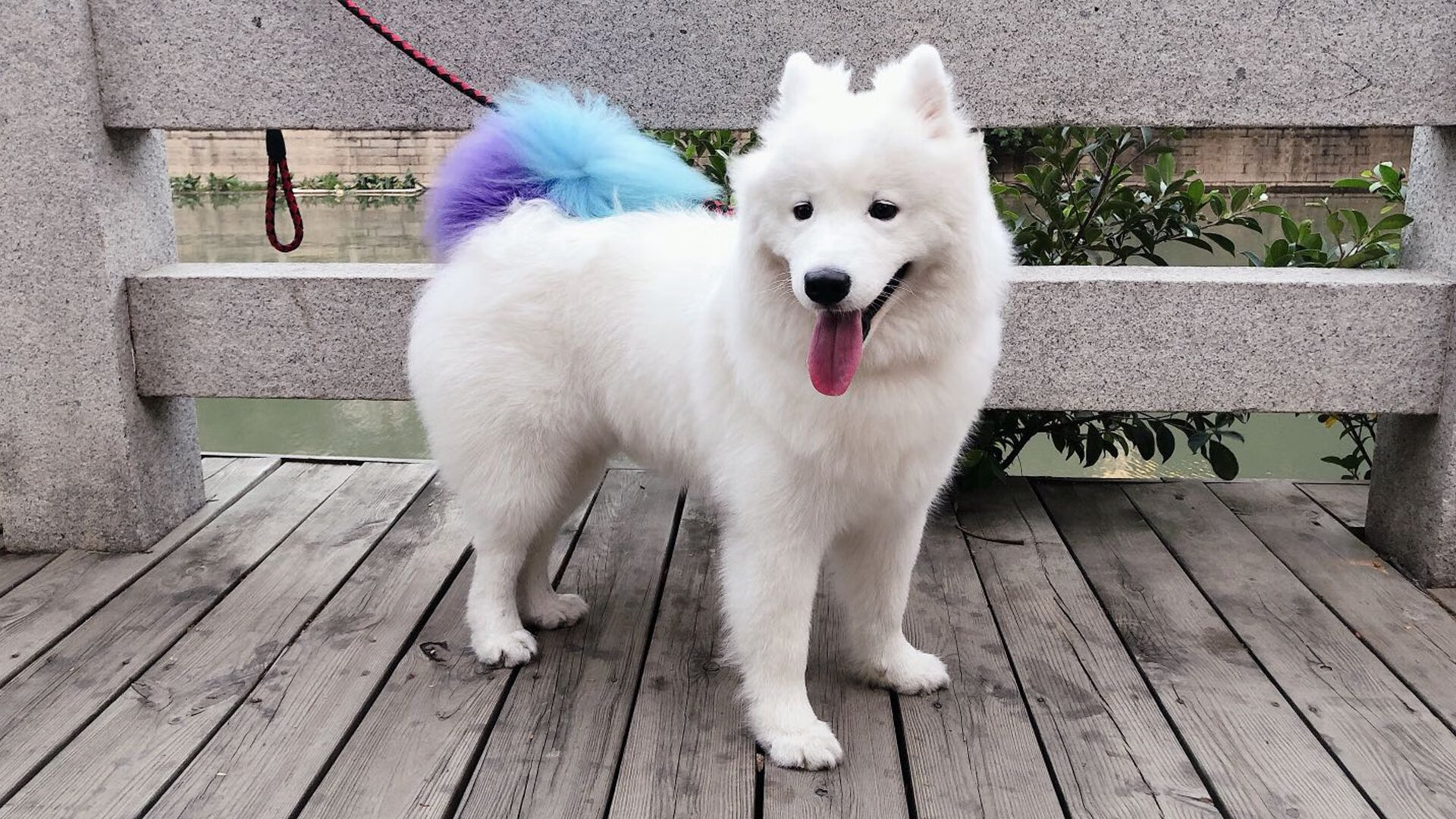 中国乒乓队主力选手伤病调整，备战下赛季，中国乒乓球队主力队员