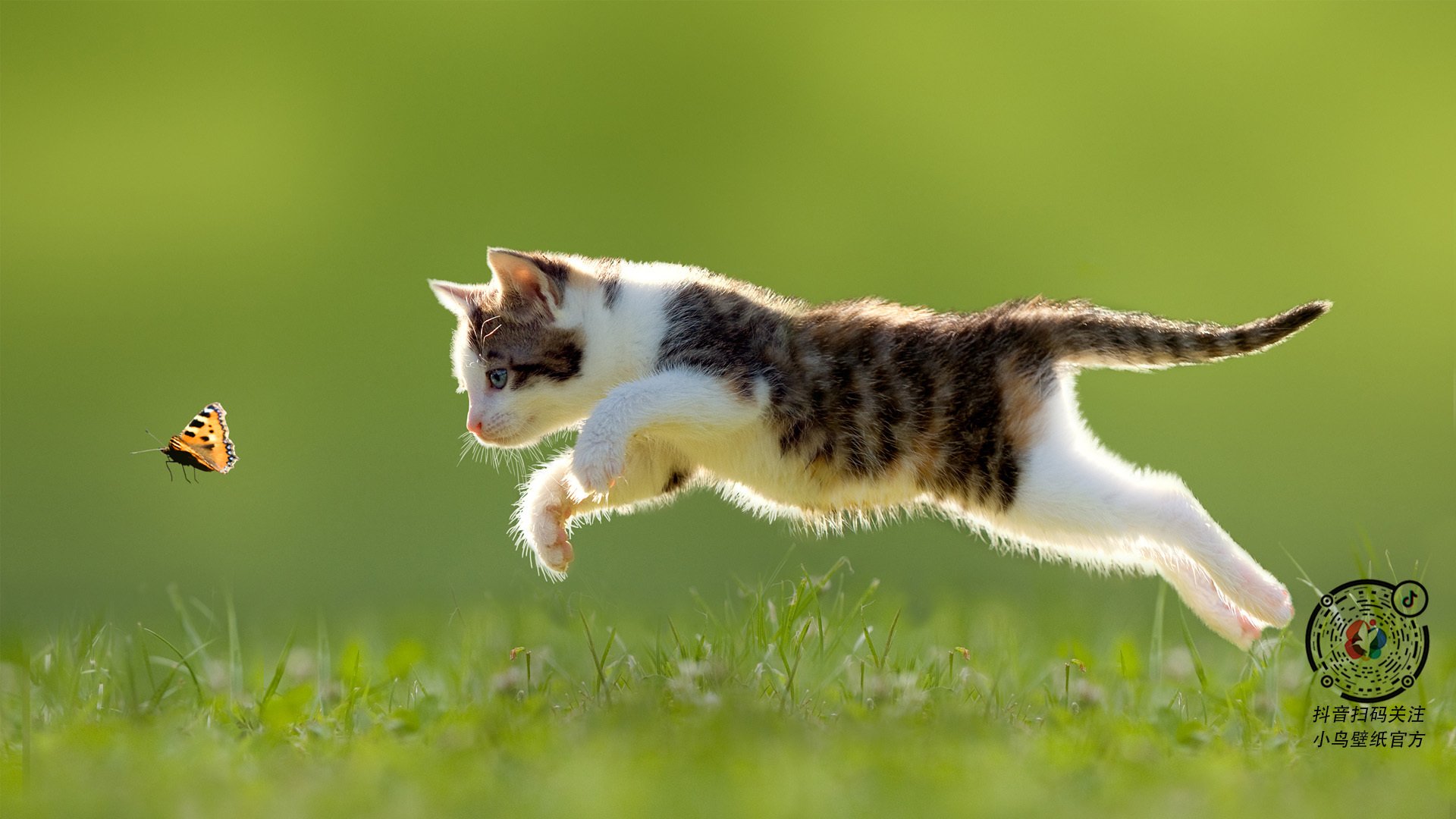 中国男篮多点开花 战术体系初显成效，中国男篮多打少