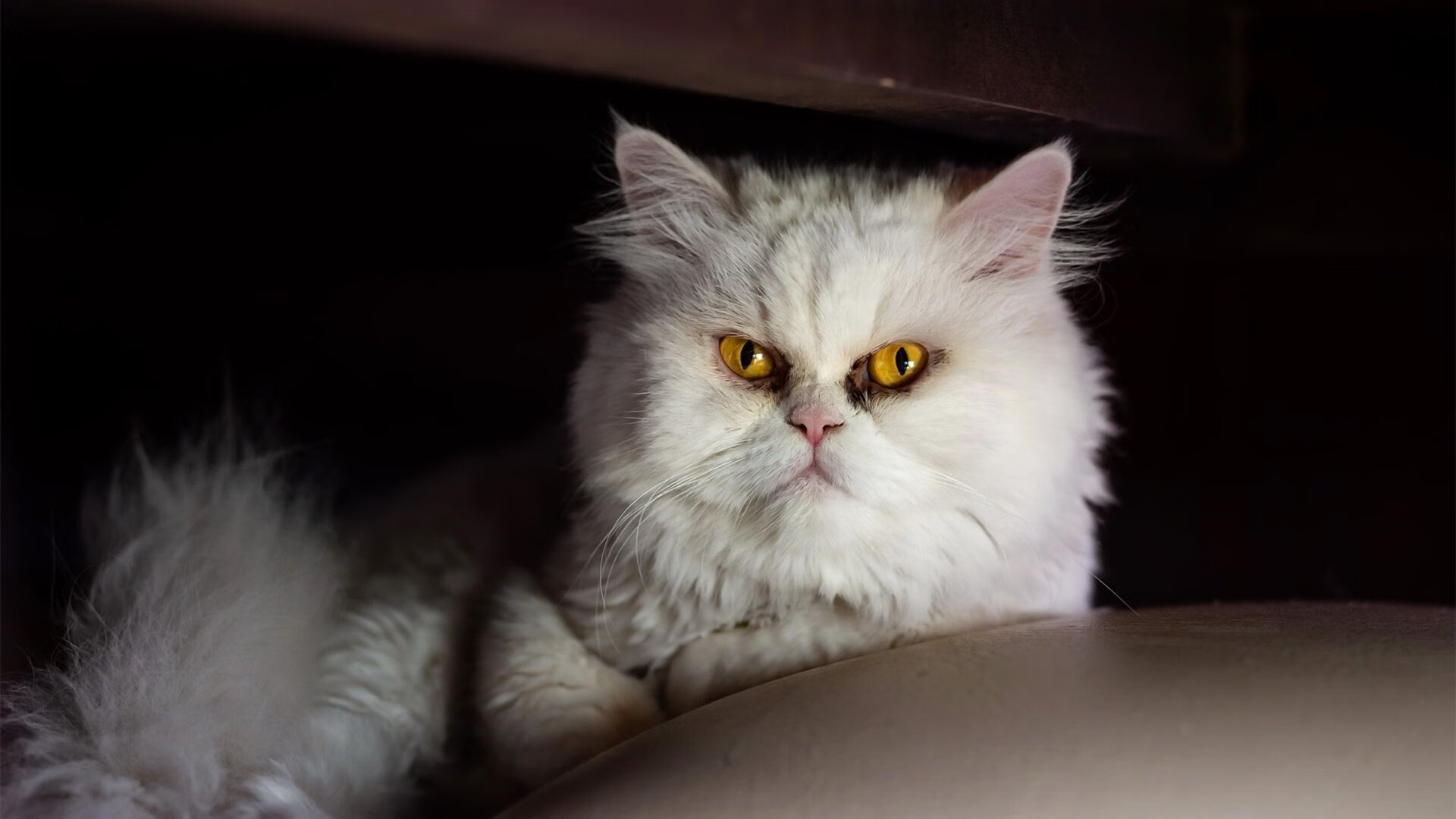 中国男篮继续推进全场联防体系,中国男篮全国联赛