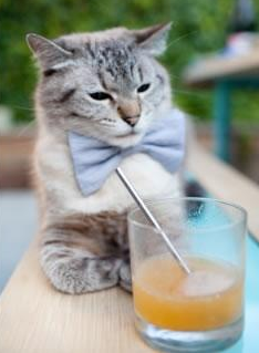 中立B队展现潜在黑马实力,中立樘是什么