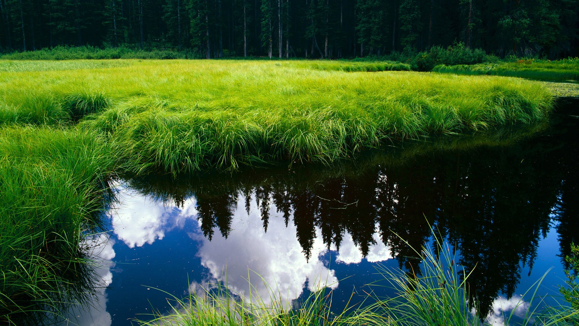 开云·体育官网APP下载-俱乐部构建“青少年运动+科技+心理”全链条培养模式