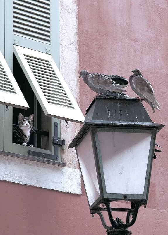 凡尘组合2-1逆转世界第18，下一轮大战日本王牌，凡尘组合决赛打谁