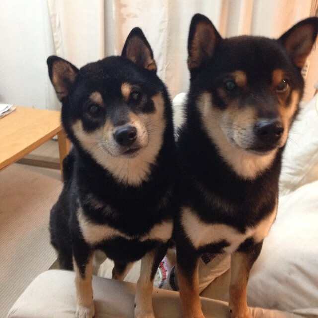 开云官方网页登录-凡尘组合逆转胜世界第18，决胜局发挥出色，逆凡道尘