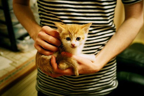 劣势勒沃库森，法兰克福有望趁机扩大领先？，勒沃库森vs法兰克福比分预测