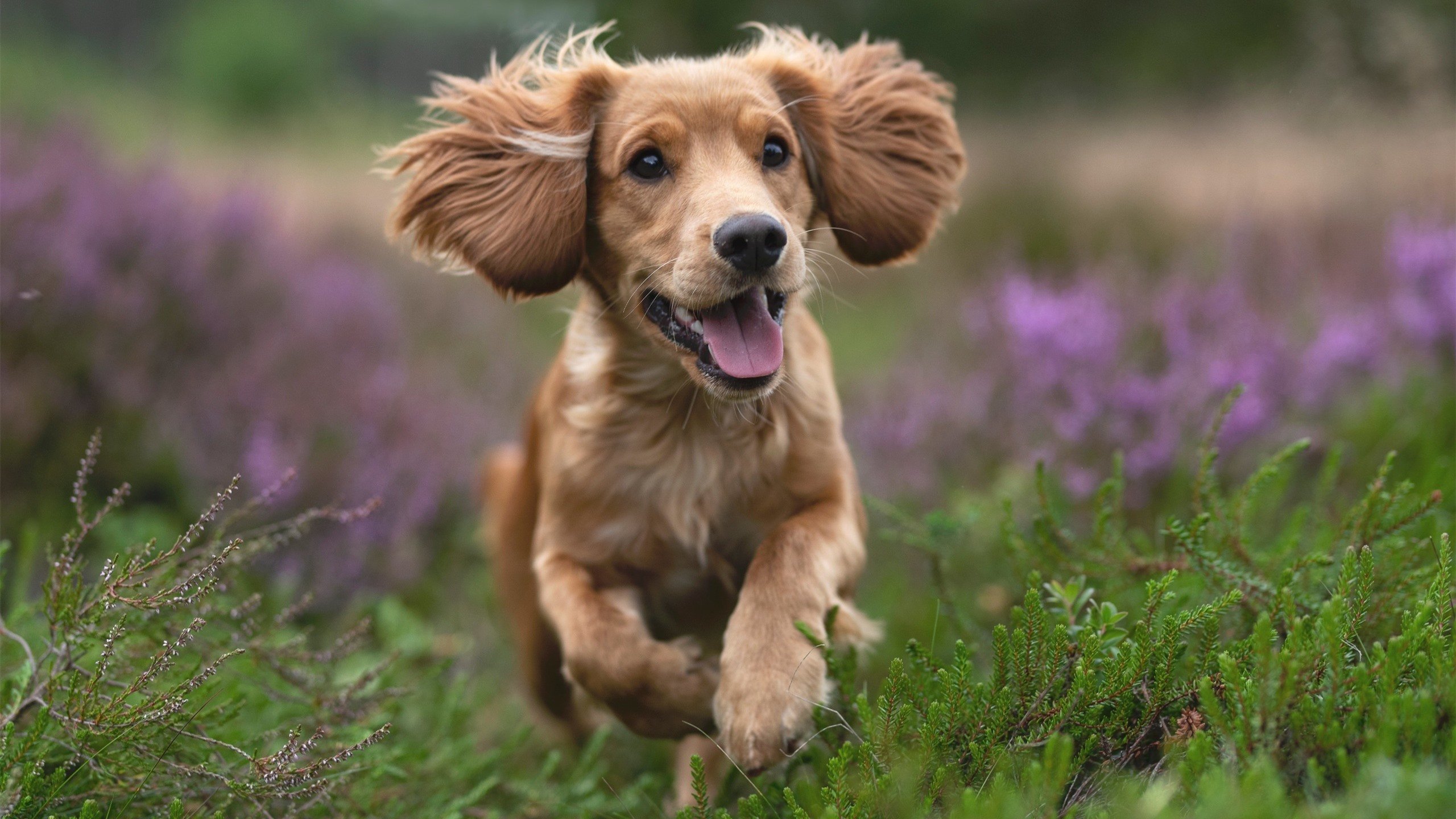 Kaiyun官方登录入口-半导体链爆发，创业板科技股站上风口，创业板半导体芯片龙头股