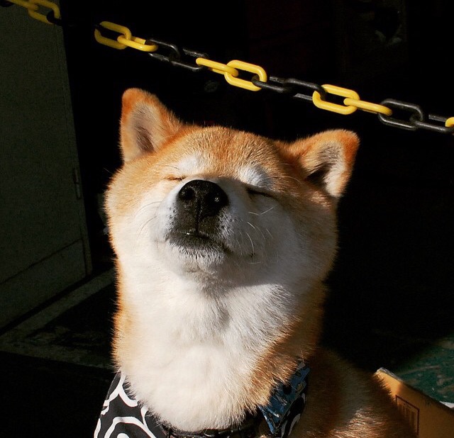 半年净赚9亿，关店300家，好想来母公司港交所上市指日可待，向港交所提请上市申请多久可以上市