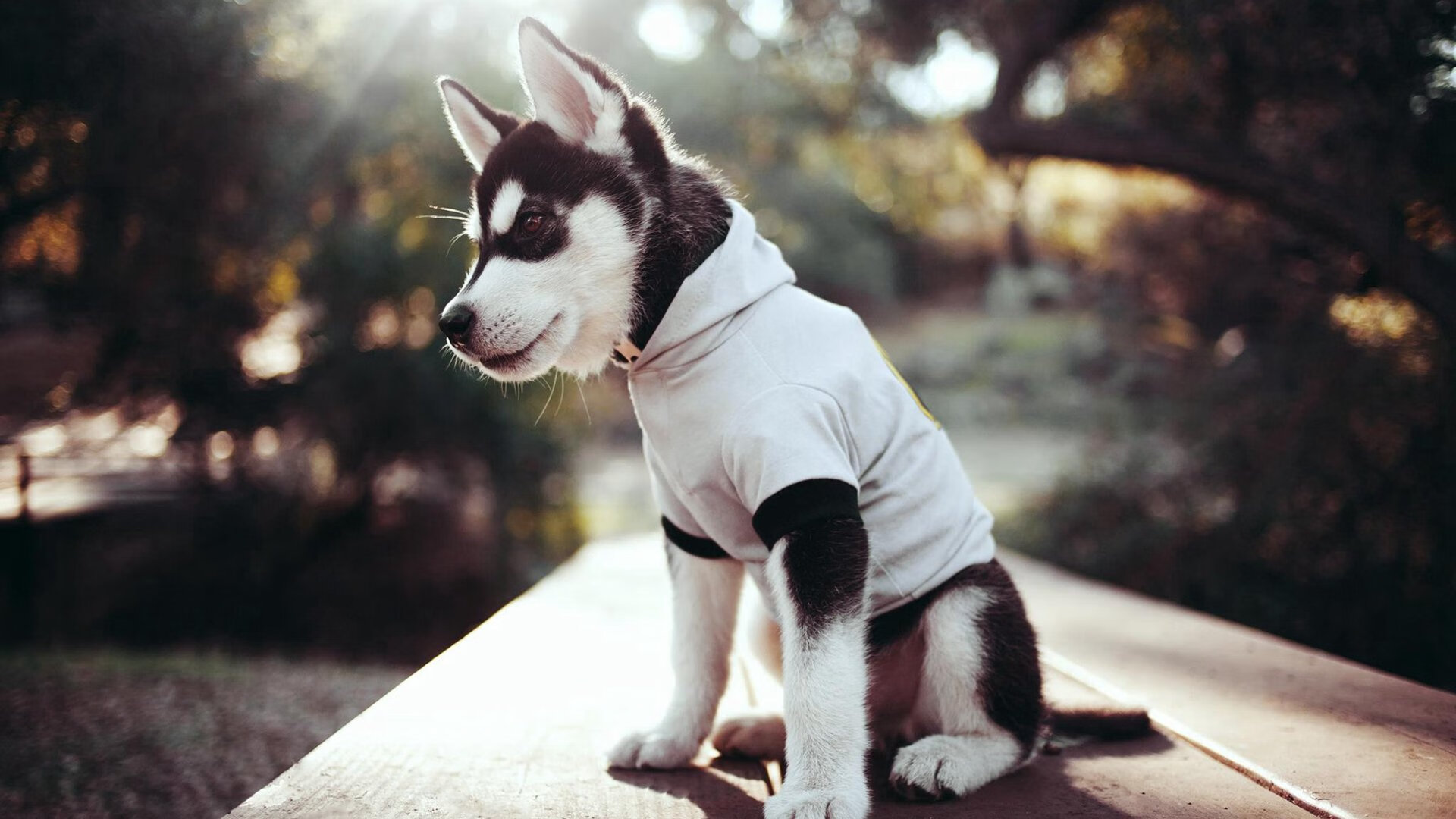 县域篮球联赛进入常态化组织体系，篮球联赛方案