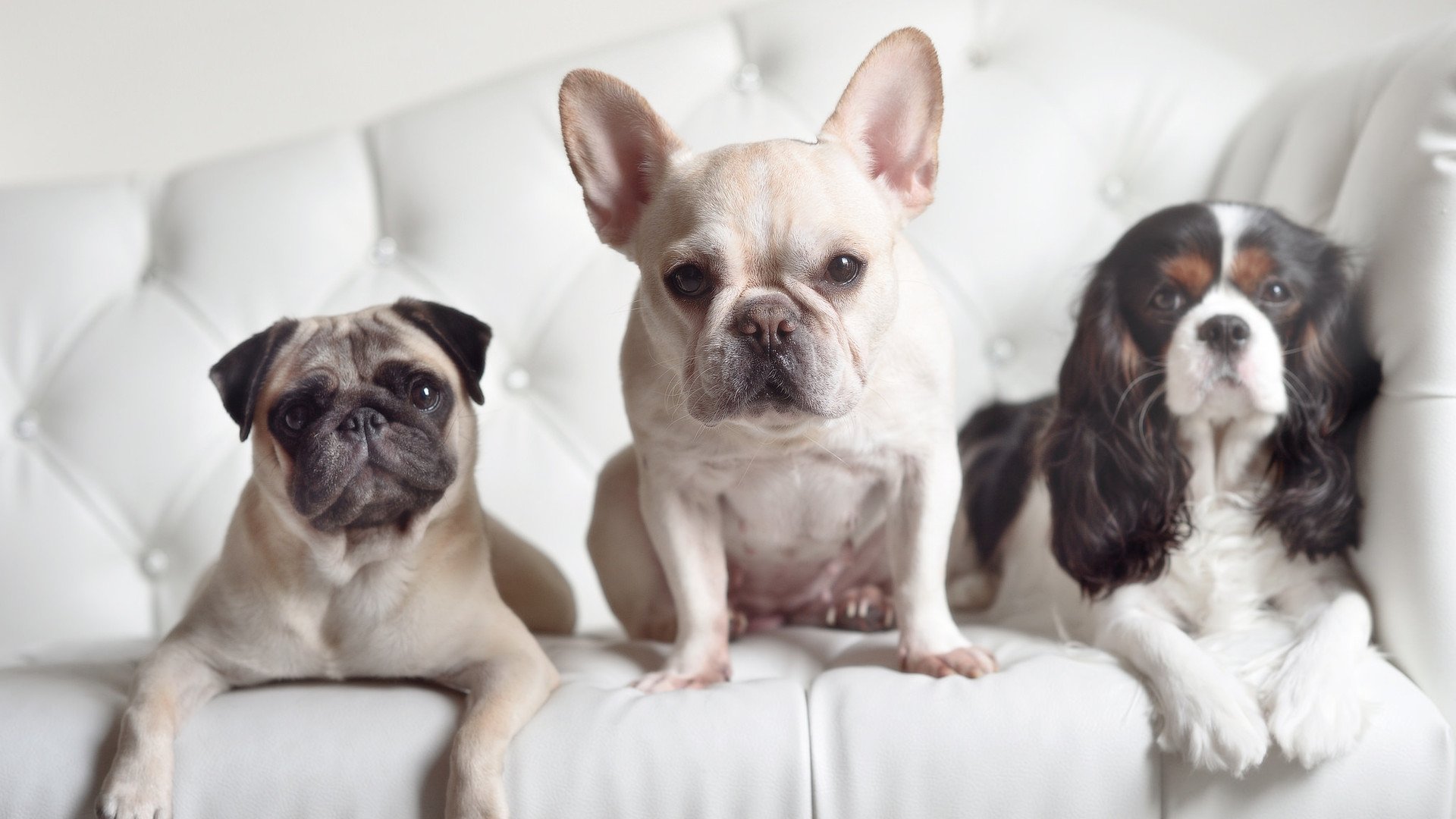 回望新疆之旅：总书记的步履