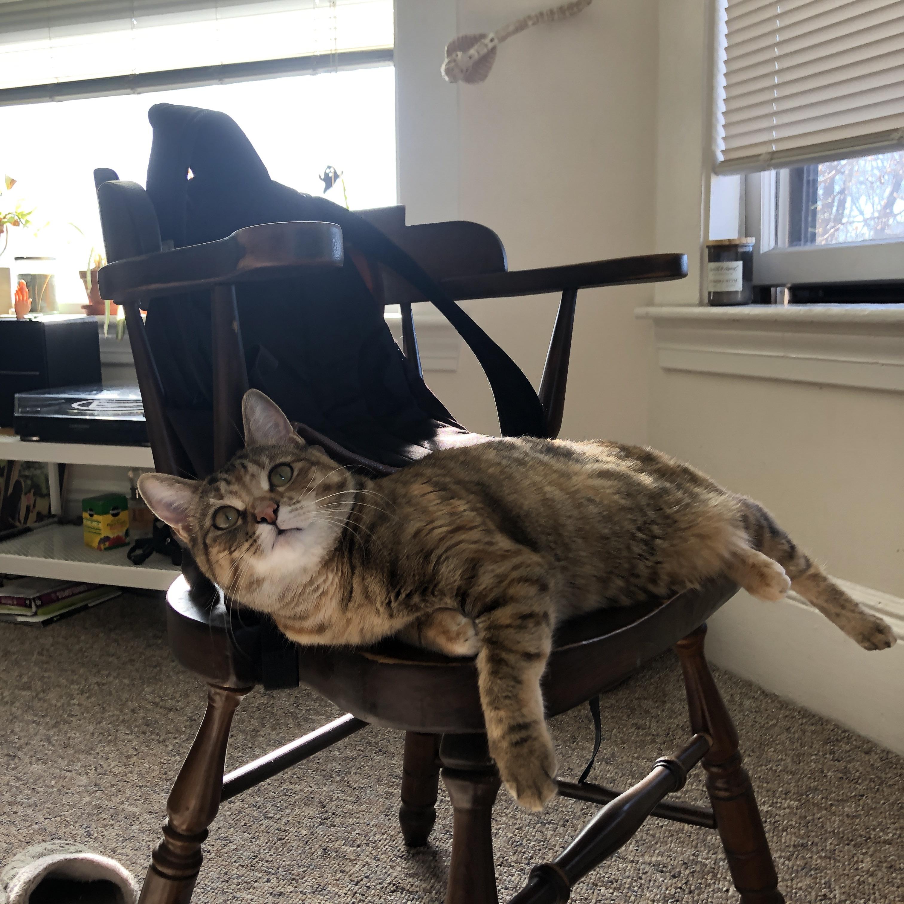 因人民而伟大，这项事业“很有意义”——以人为本的公益实践