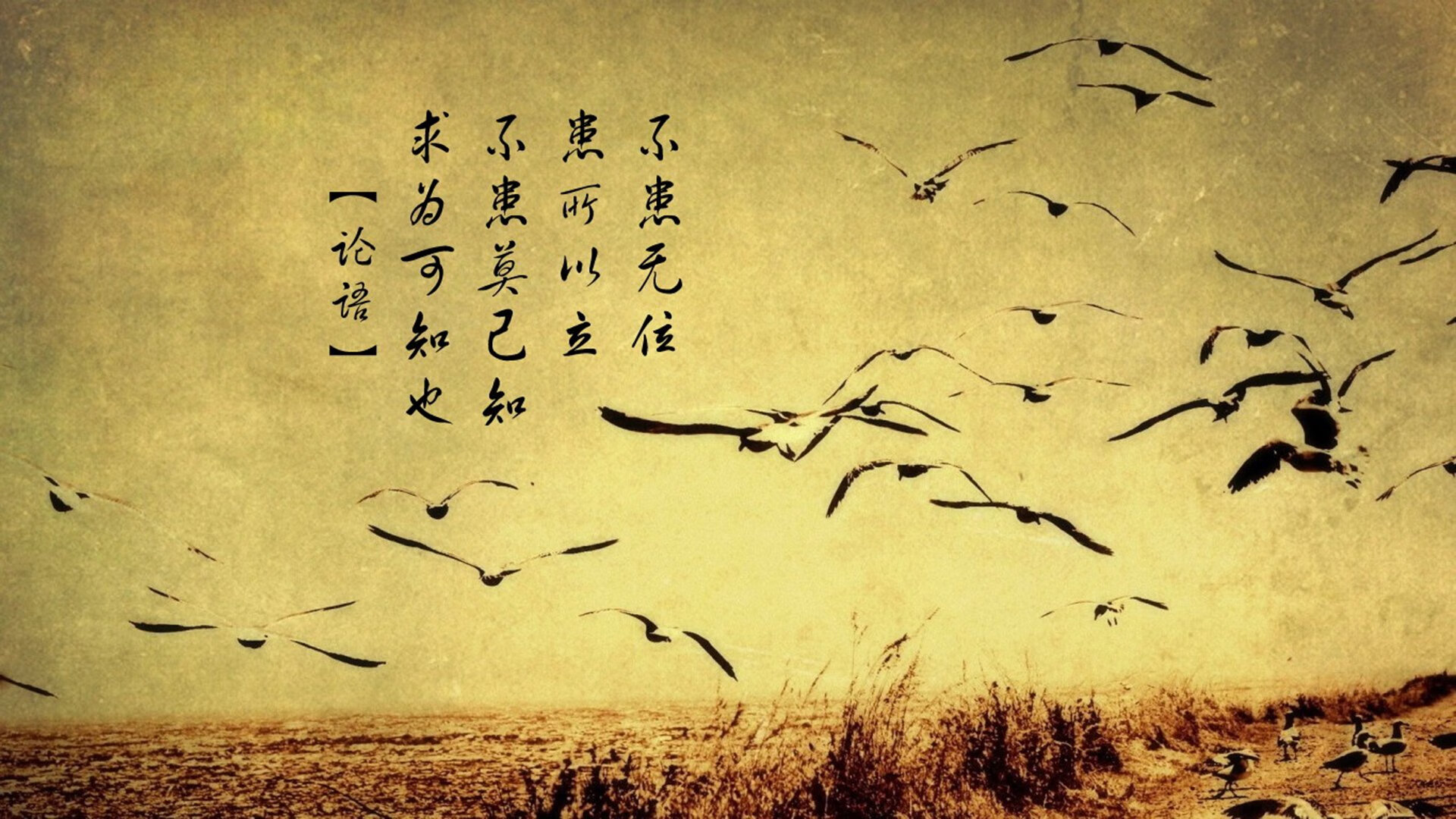 国家体育科研院发布训练负荷管理指南 指导基层教练,训练负荷包括负荷量和什么