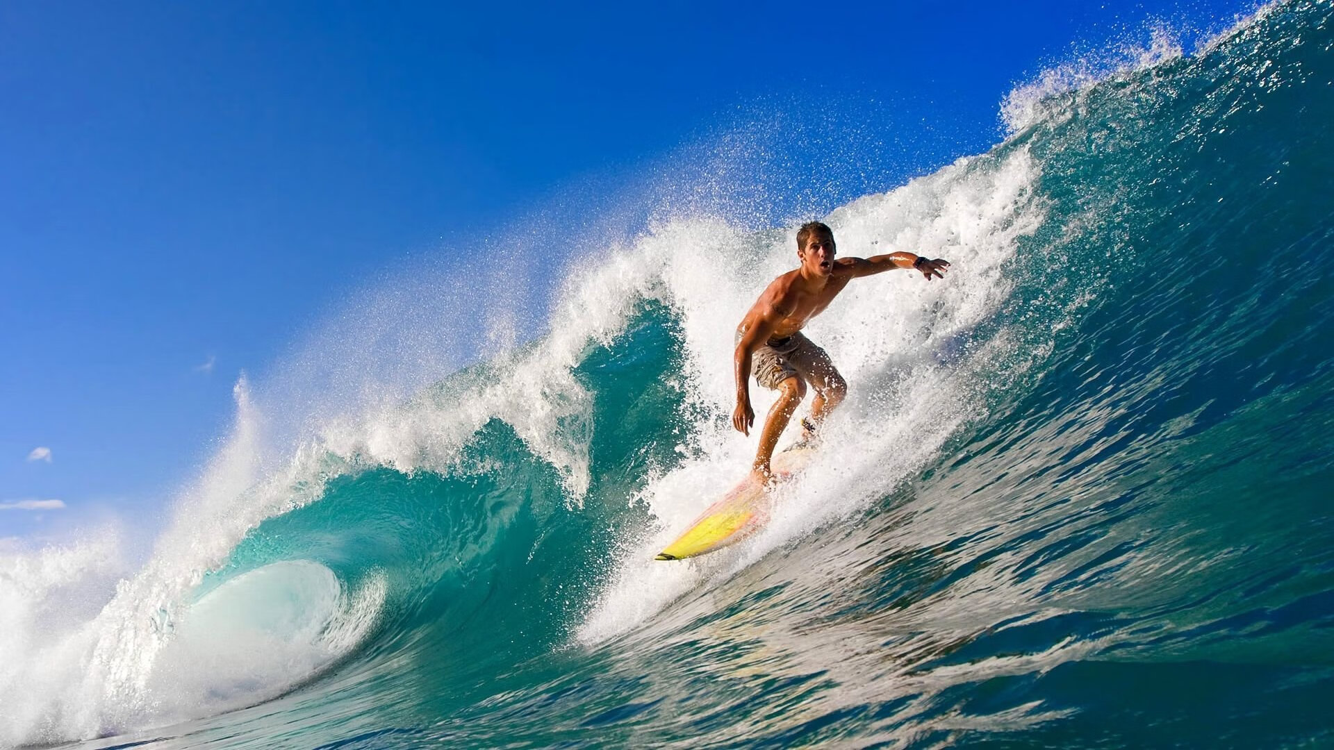 2026体育世界冠军预测，2020体育冠军